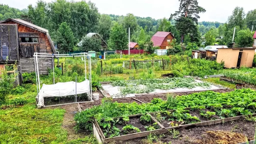 Дом в Новосибирская область, Новосибирский район, Барышевский ... - Фото 1