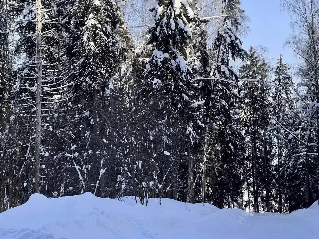 Участок в Московская область, Домодедово городской округ, д. ... - Фото 1