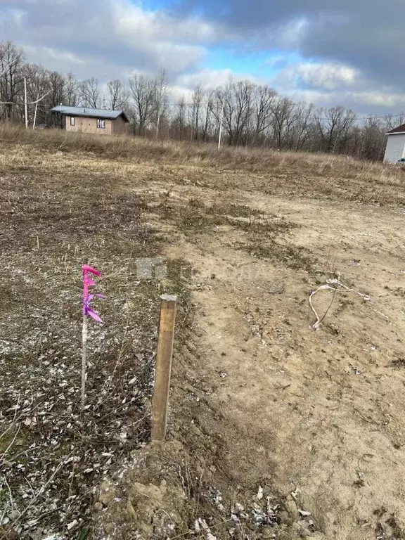 Участок в Алтайский край, Первомайский район, с. Фирсово ул. ... - Фото 1