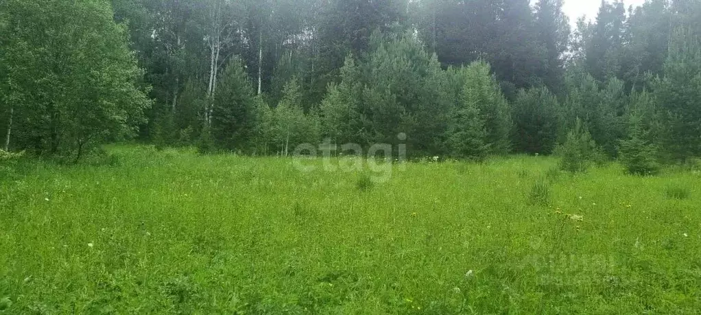 Участок в Свердловская область, Нижний Тагил городской округ, пос. ... - Фото 1