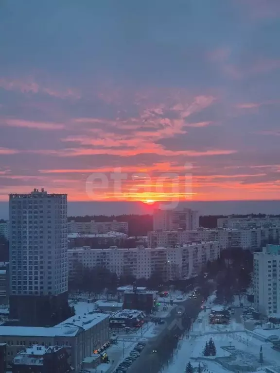Студия Башкортостан, Уфа ул. 50 лет СССР, 34 (29.2 м) - Фото 2