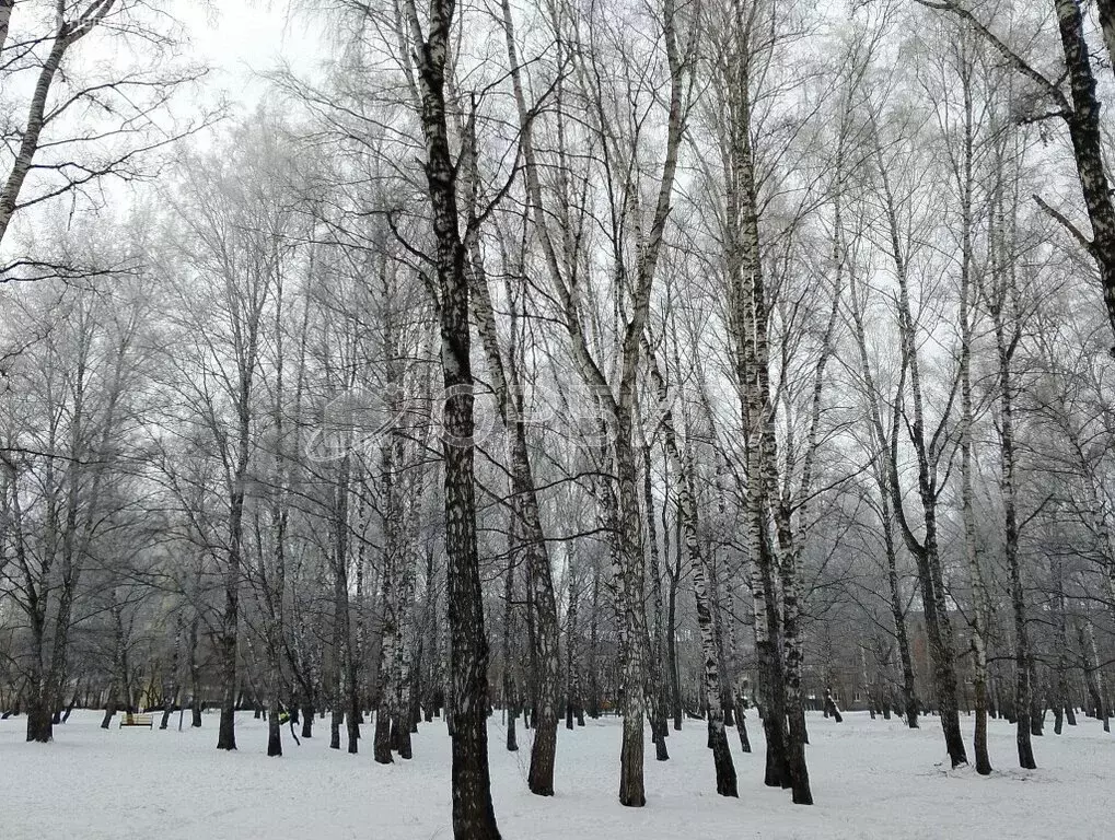 Участок в Тюмень, садовое товарищество Липовый Остров, 8-я Восточная ... - Фото 1