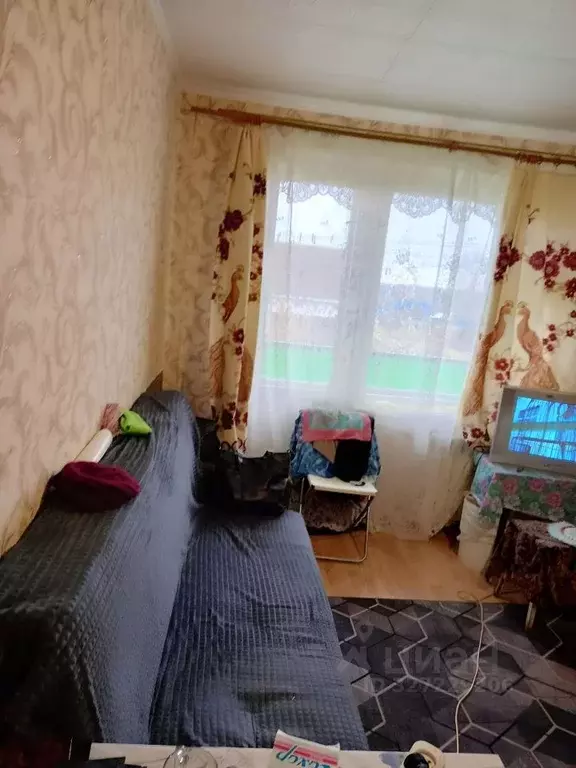 1-к кв. Нижегородская область, Богородский муниципальный округ, с. ... - Фото 1