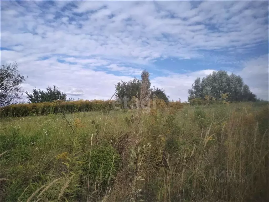 Участок в Брянская область, Жуковский муниципальный округ, с. ... - Фото 1