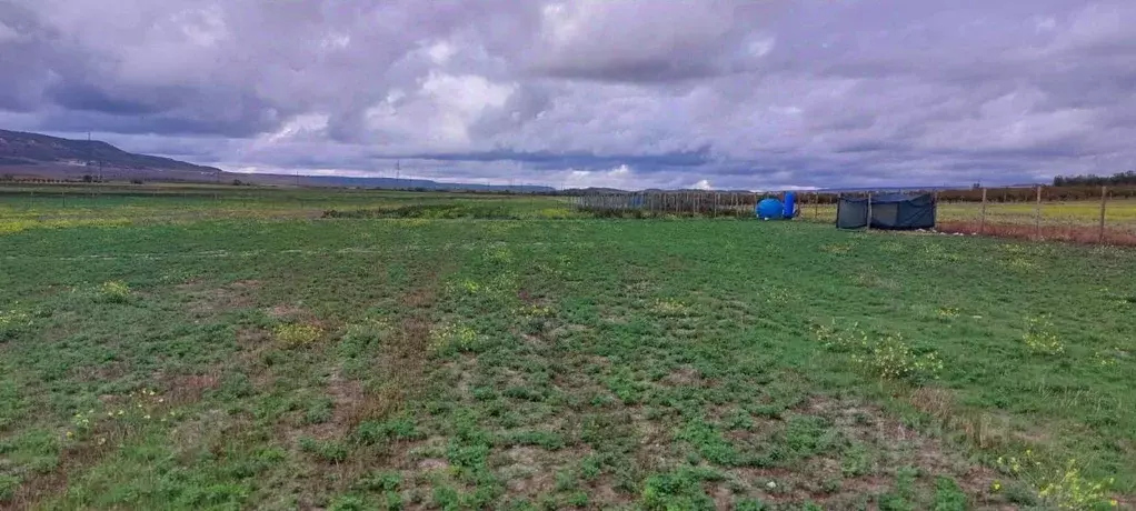 Участок в Крым, Бахчисарайский район, с. Красный Мак ул. Кирова (310.0 ... - Фото 2