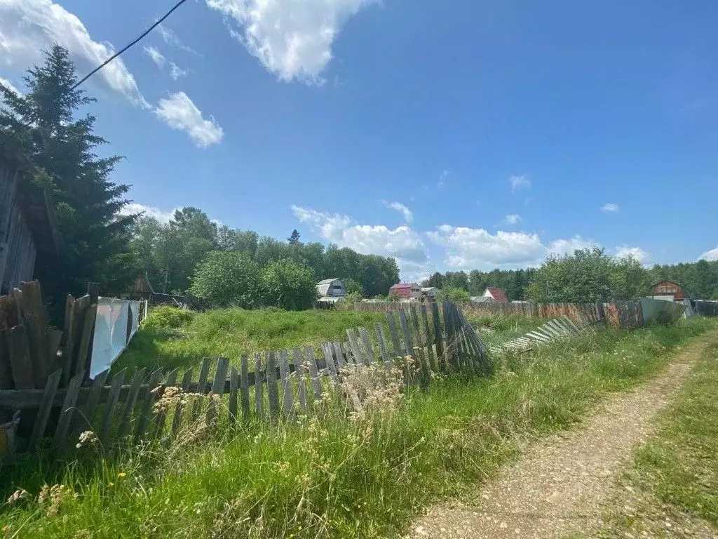 Участок в Иркутская область, Усольский район, Большееланское ... - Фото 2