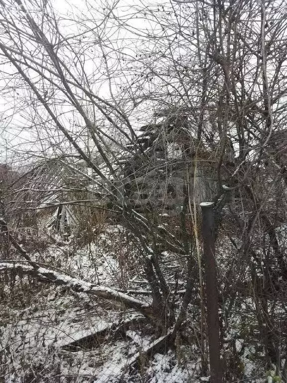 Участок в Аша, улица Спартака (604 м) - Фото 2