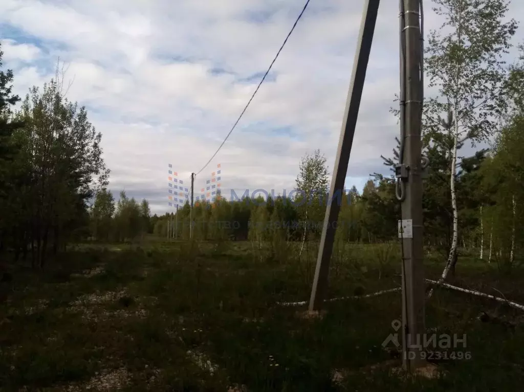 Участок в Нижегородская область, Городецкий муниципальный округ, д. ... - Фото 1