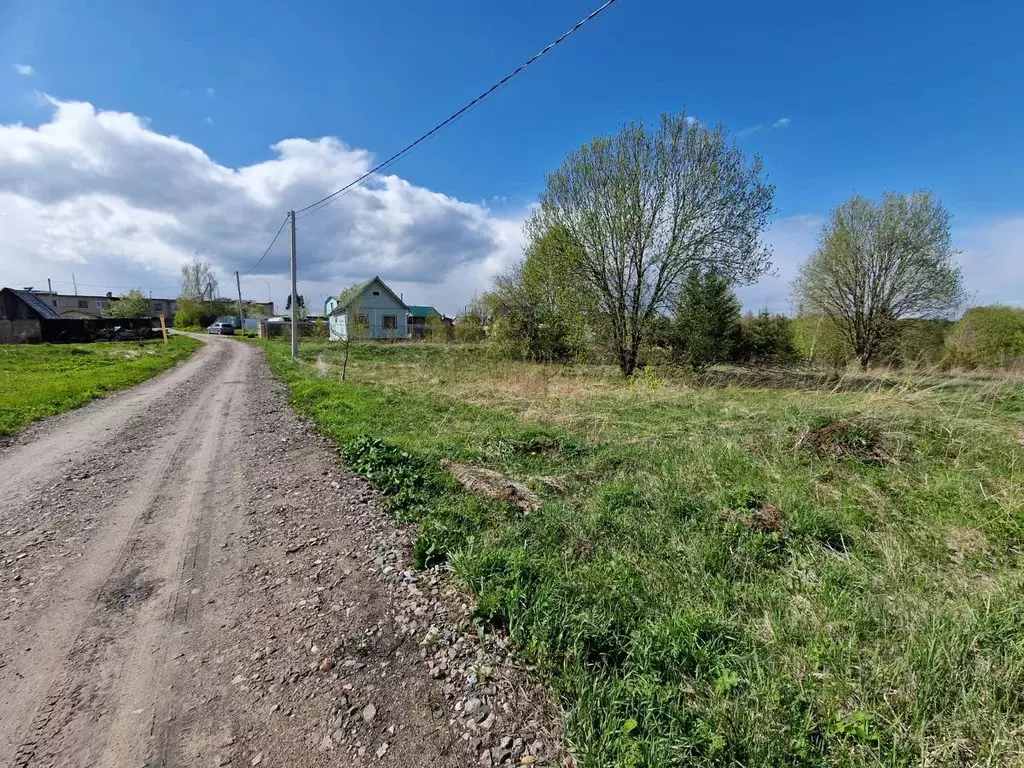 Участок в Владимирская область, Александровский район, Андреевское ... - Фото 1