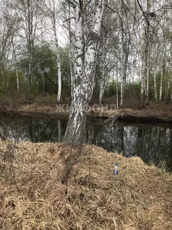 Дом в Новосибирская область, Новосибирский район, Кубовинский ... - Фото 1