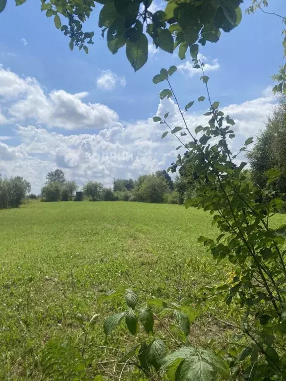 Участок в Чувашия, Чебоксарский муниципальный округ, д. Хорамакасы ул. ... - Фото 2