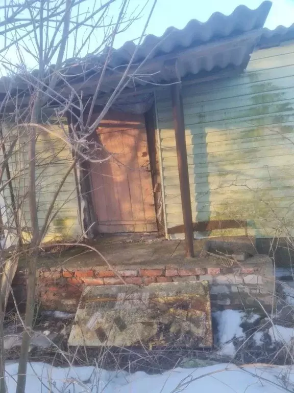 Дом в Воронежская область, Таловский район, Тишанское с/пос, с. ... - Фото 1