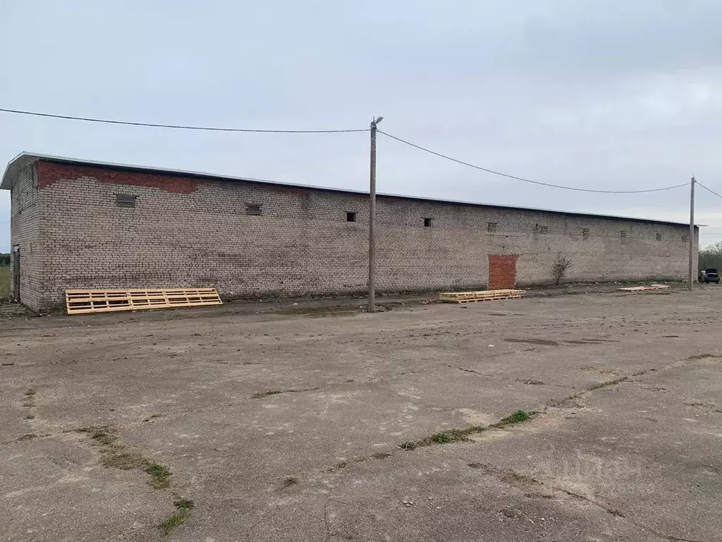 Помещение свободного назначения в Московская область, Волоколамский ... - Фото 1