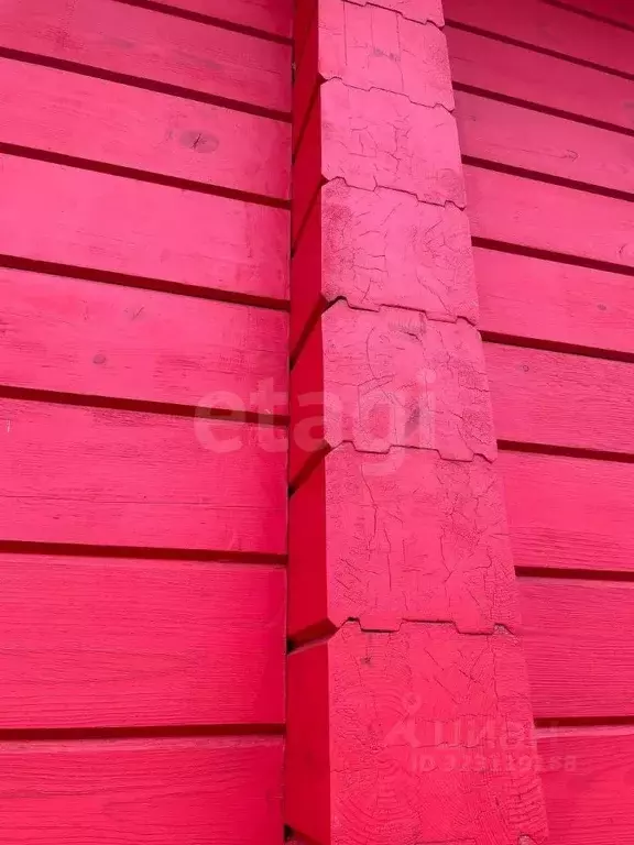 Дом в Воронежская область, Воронеж Малышево мкр,  (228 м) - Фото 2