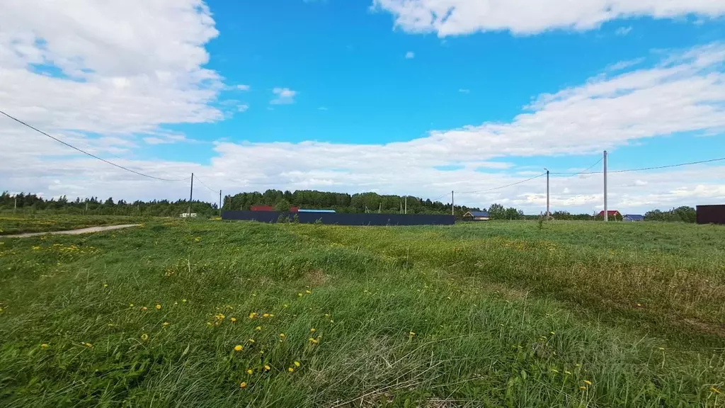 Участок в Ленинградская область, Ломоносовский район, Лопухинское ... - Фото 2