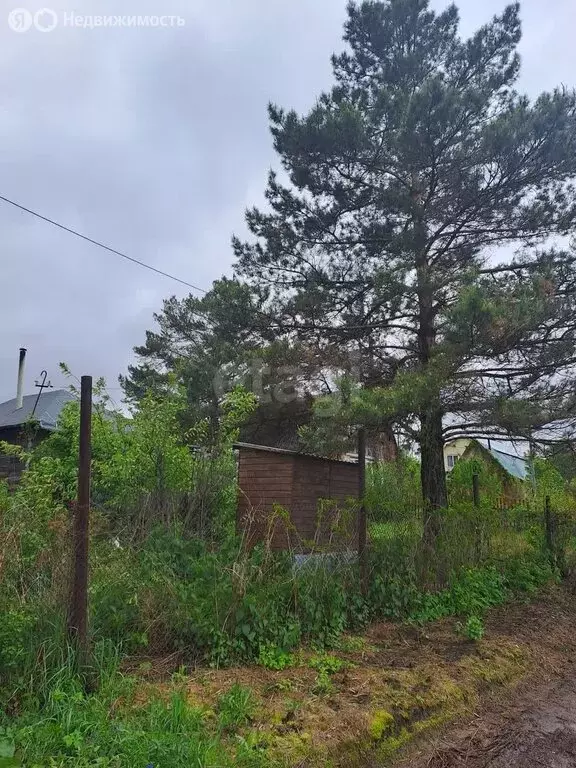 Участок в Колыванский район, садоводческое некоммерческое товарищество ... - Фото 2