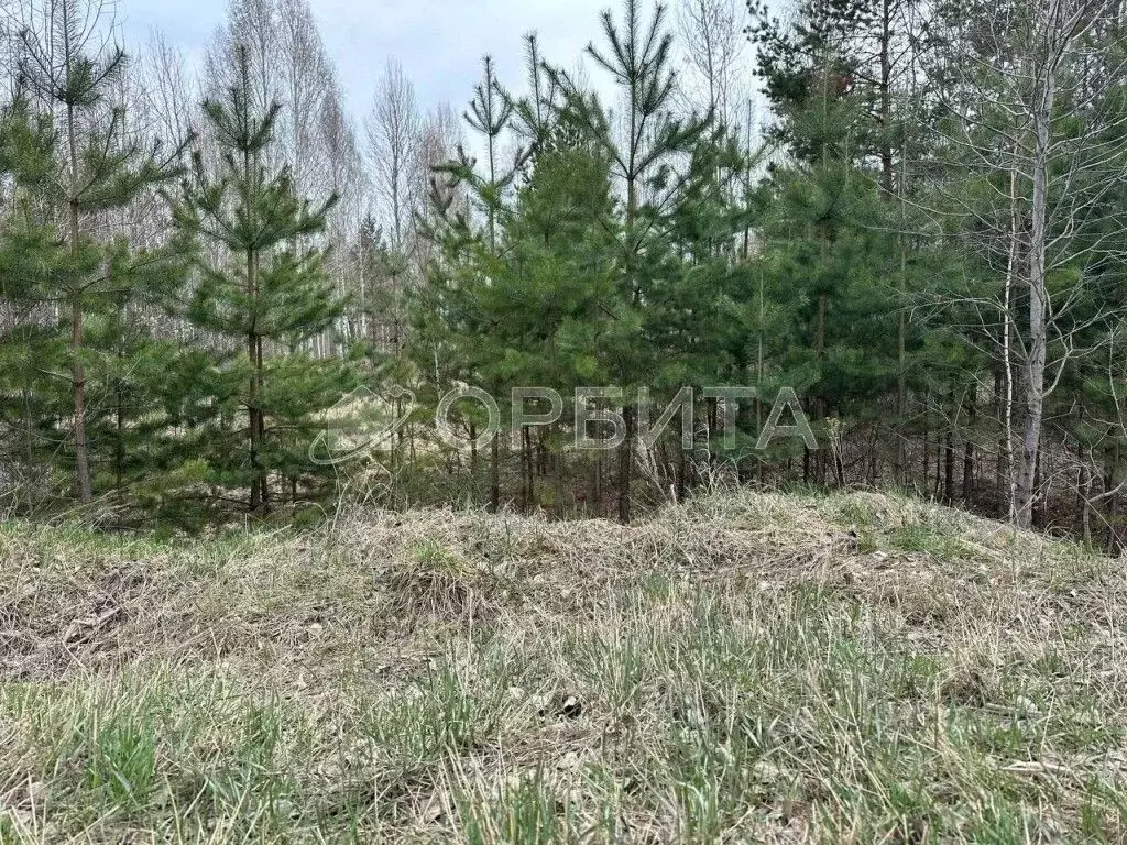 Участок в Тюменская область, Тюменский район, д. Речкина  (18.0 сот.) - Фото 0