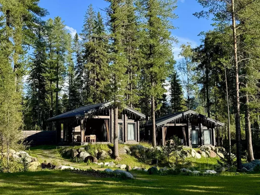 Дом в Алтай, Турочакский район, с. Артыбаш пер. Еловый, 11 (40 м) - Фото 1