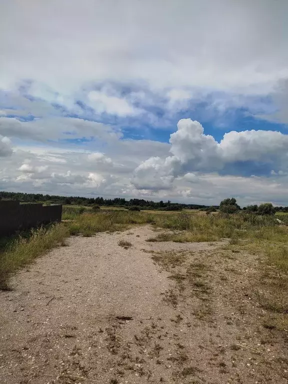 Участок в Новгородская область, Новгородский район, Савинское с/пос, ... - Фото 2