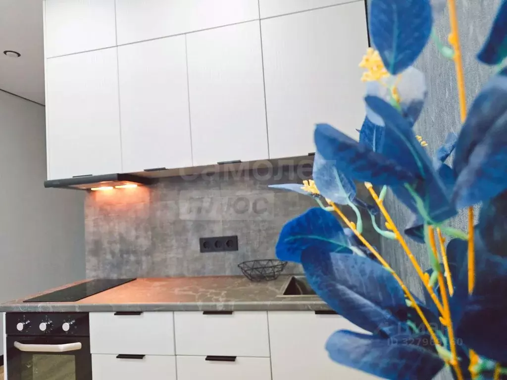 Студия Оренбургская область, Оренбург ул. Автомобилистов, 13 (25.7 м) - Фото 1