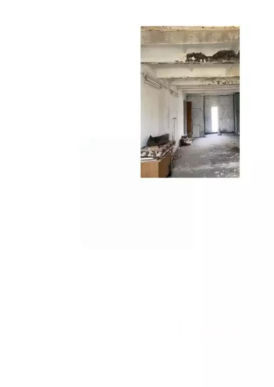 Помещение свободного назначения в Новосибирская область, Новосибирский ... - Фото 2