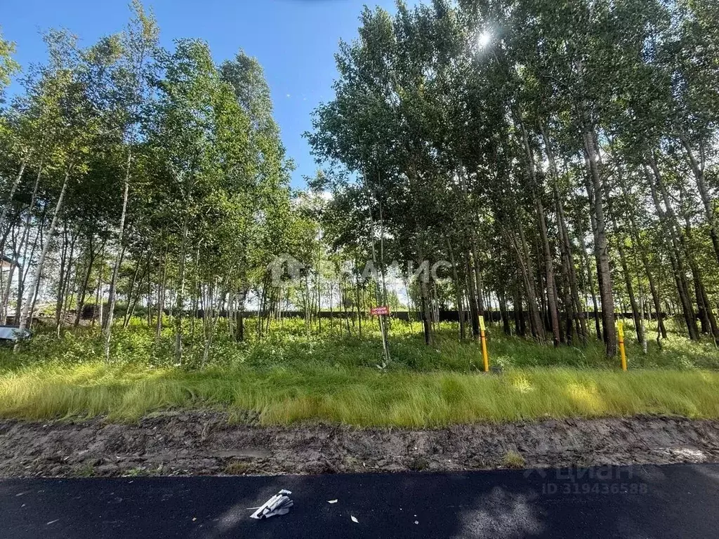 Участок в Санкт-Петербург, Санкт-Петербург, Павловск Павлов Скай кп,  ... - Фото 1