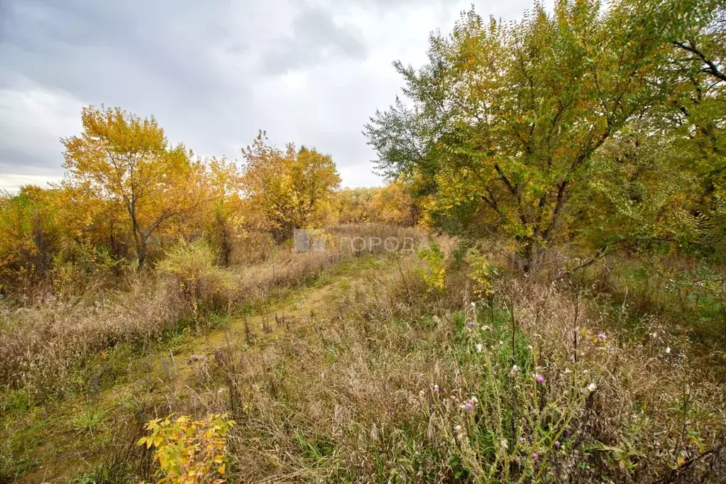 Участок в Кемеровская область, Новокузнецкий муниципальный округ, с. ... - Фото 2