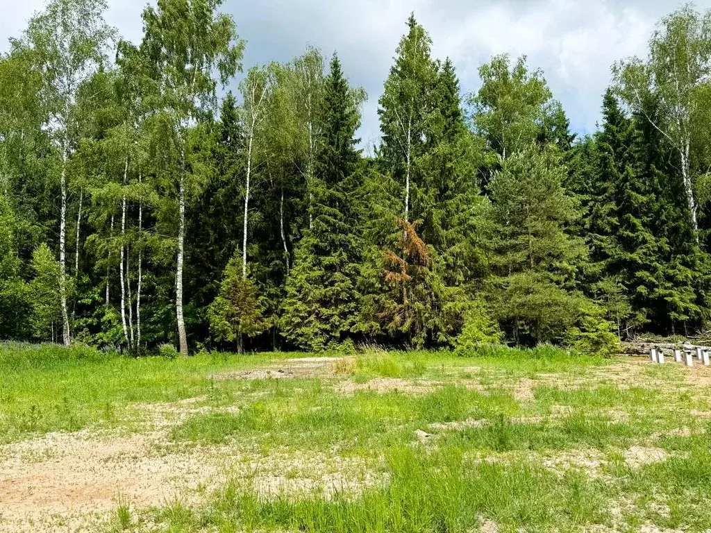 Участок в Московская область, Домодедово городской округ, д. Чулпаново ... - Фото 1