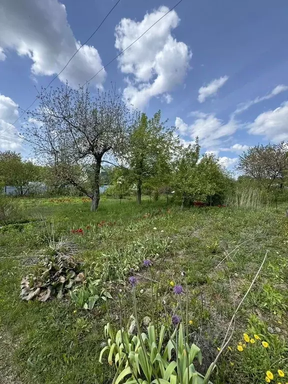 Дом в Московская область, Серпухов городской округ, Надежда СНТ  (25 ... - Фото 2