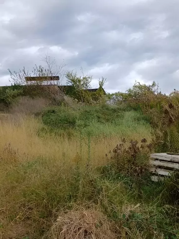 Участок в Краснодарский край, Сочи городской округ, с. Черешня ул. ... - Фото 1