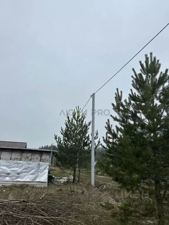 Участок в Кировская область, Слободской муниципальный район, Бобинское ... - Фото 1