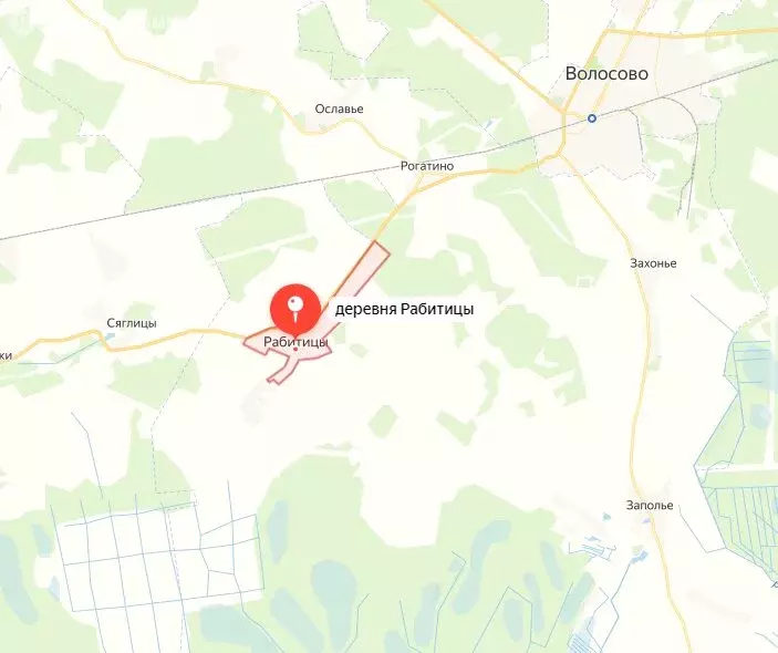 Участок в Волосовский район, Рабитицкое сельское поселение, деревня ... - Фото 1