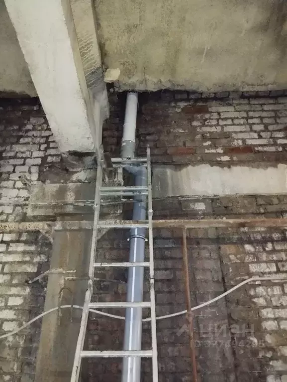 Помещение свободного назначения в Омская область, Омск ул. 10 лет ... - Фото 2