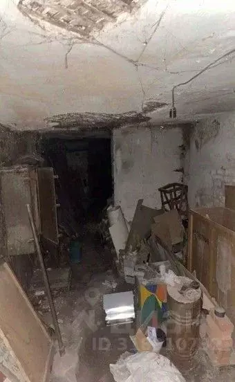 Помещение свободного назначения в Оренбургская область, Оренбург ул. ... - Фото 1