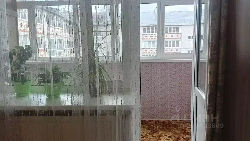 1-к кв. Владимирская область, Юрьев-Польский ул. Шибанкова, 51 (35.0 ... - Фото 2