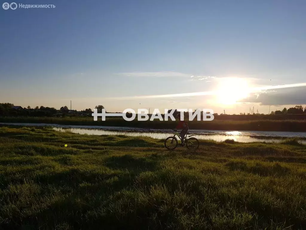 Участок в Ордынский район, дачное некоммерческое товарищество ... - Фото 1