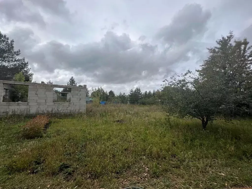 Участок в Самарская область, Красноярский район, Светлое Поле с/пос, ... - Фото 2