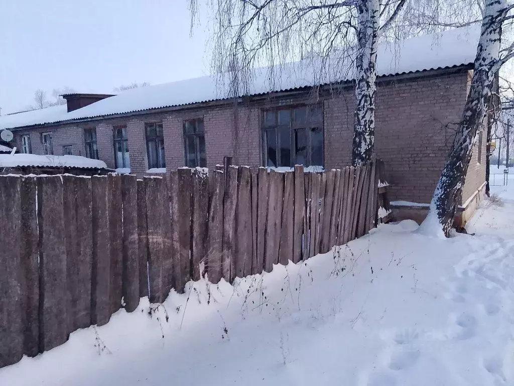 Помещение свободного назначения в Удмуртия, Сарапульский район, с. ... - Фото 1