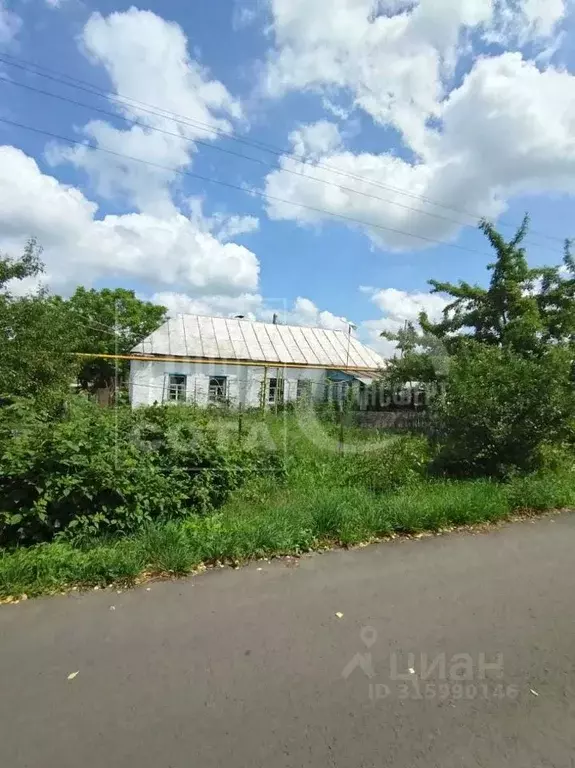 Дом в Воронежская область, Анна пгт ул. Транспортная, 40 (50 м) - Фото 1