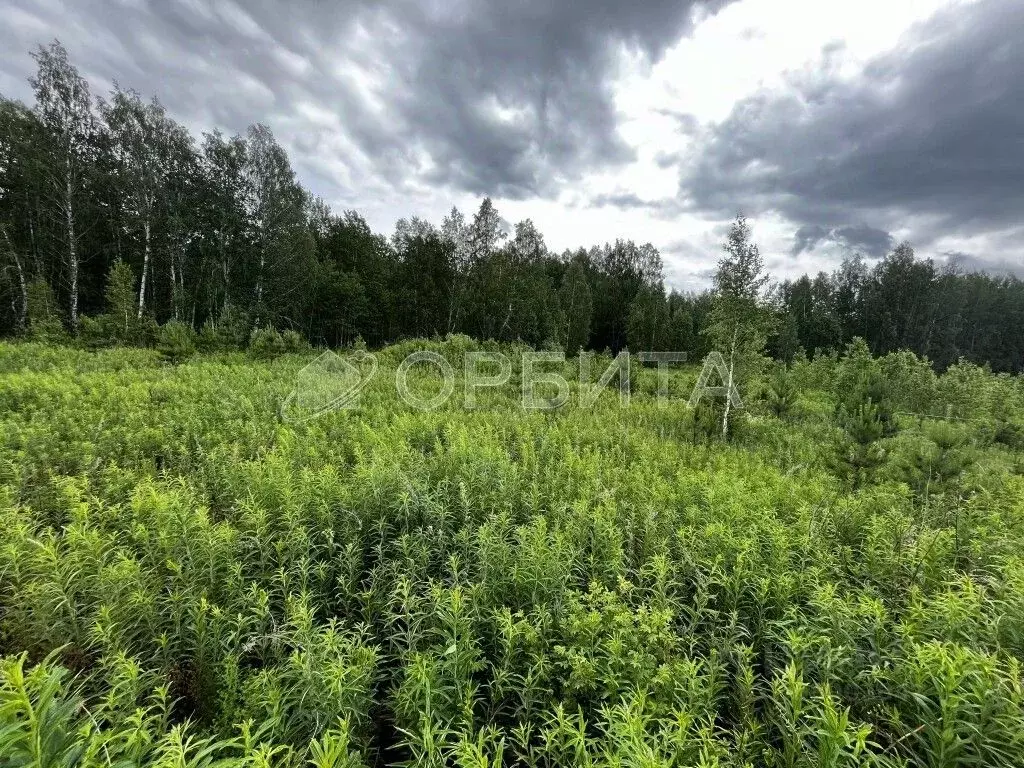 Участок в Тюменская область, Тюменский район, с. Кулига, Кулига-2 мкр  ... - Фото 1