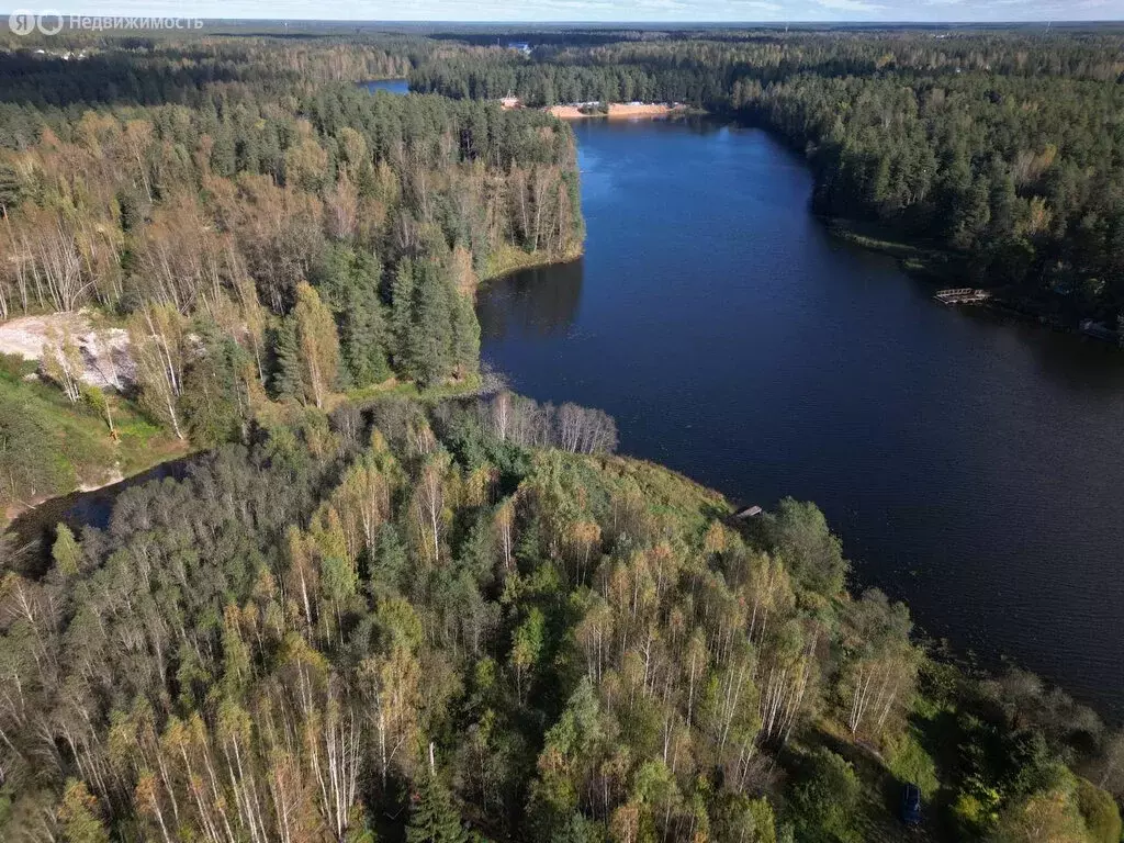 Участок в Ленинградская область, Гатчинский муниципальный округ, ... - Фото 2