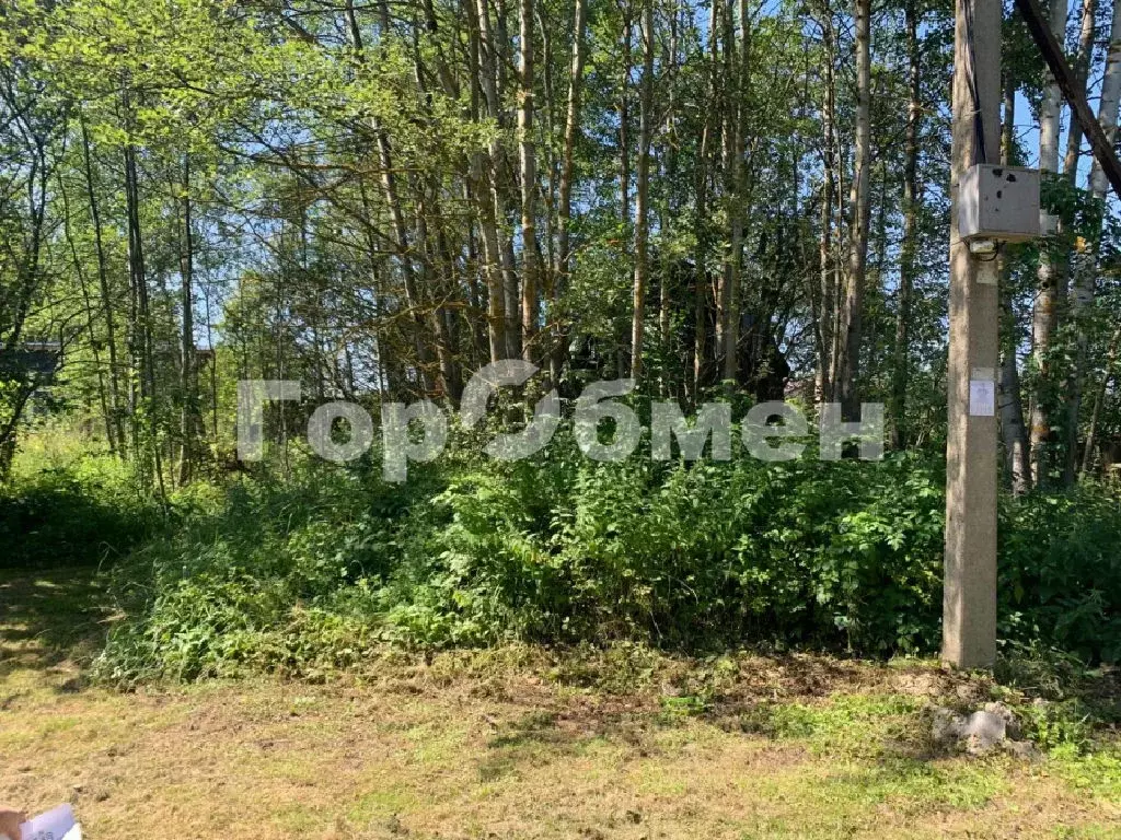 Продается участок в СНТ Журналист - Фото 1