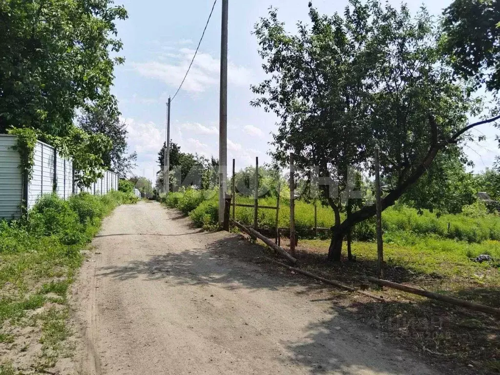 Участок в Брянская область, Брянск СО Мечта тер.,  (7.0 сот.) - Фото 1