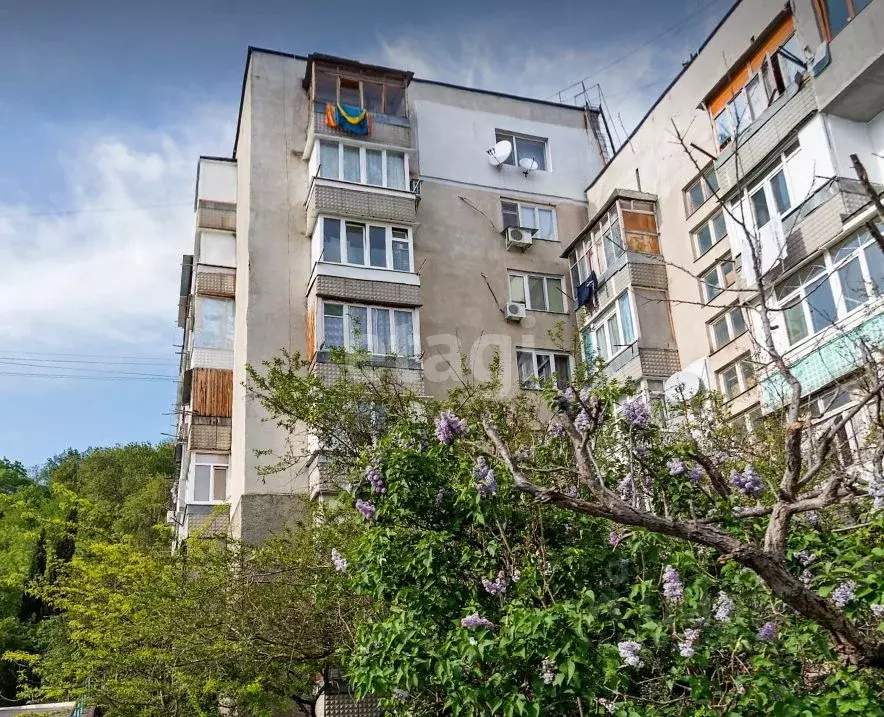 Студия Крым, Ялта муниципальный округ, Гаспра пгт ул. Школьная, 23 ... - Фото 1