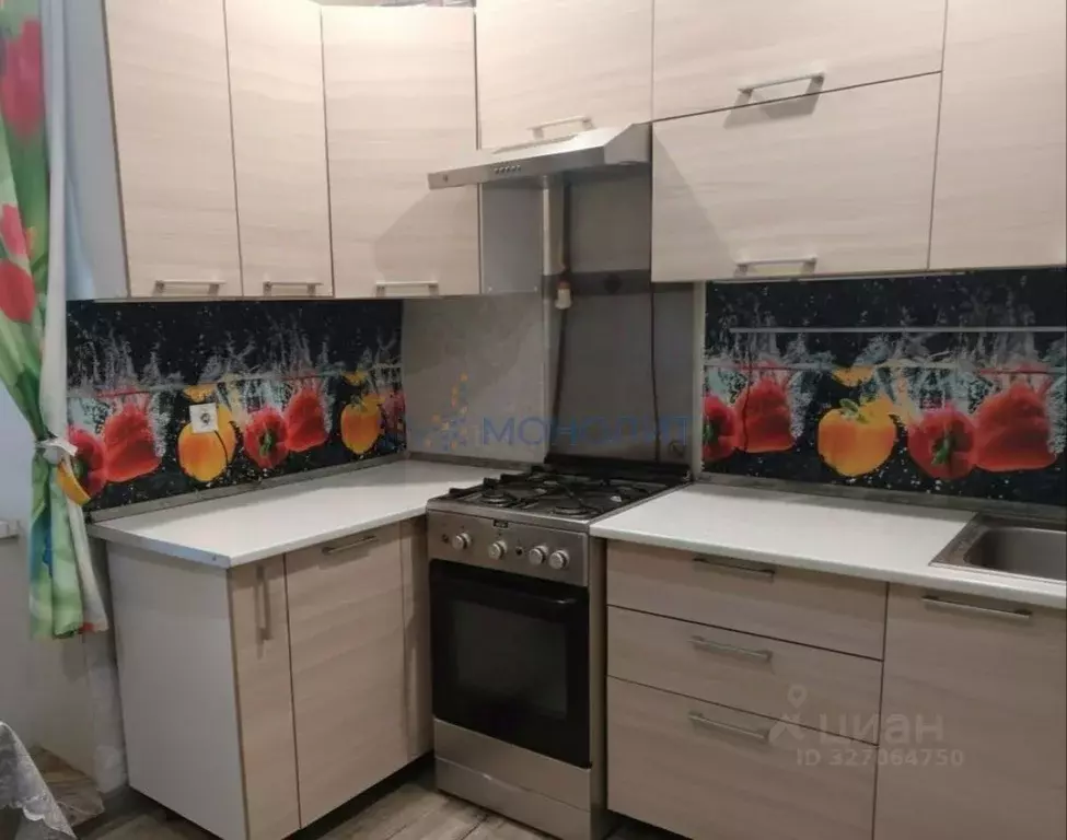 1-к кв. Нижегородская область, Нижний Новгород Союзный просп., 2а ... - Фото 1