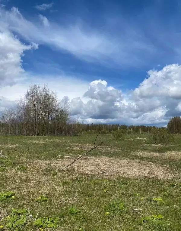 Участок в Московская область, Рузский муниципальный округ, д. Федчино  ... - Фото 1