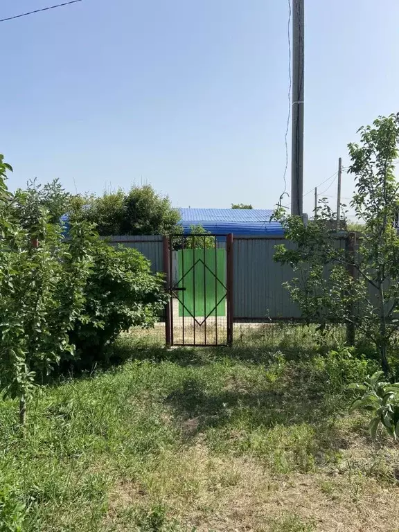 Дом в Волгоградская область, Волгоград Металлургстрой садовое ... - Фото 1