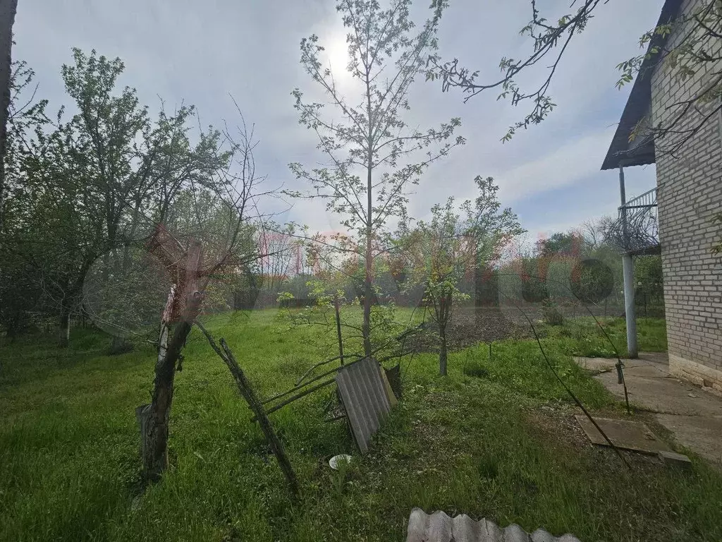 Участок 6 га (СНТ, ДНП) - Фото 1