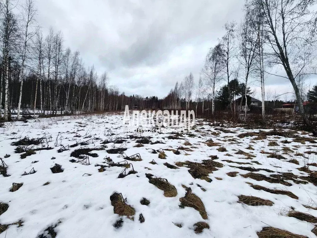 Участок в Ленинградская область, Приозерский район, Ларионовское ... - Фото 0