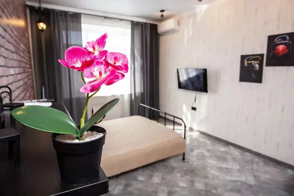 2-к кв. Омская область, Омск ул. Масленникова, 9 (70.0 м) - Фото 1